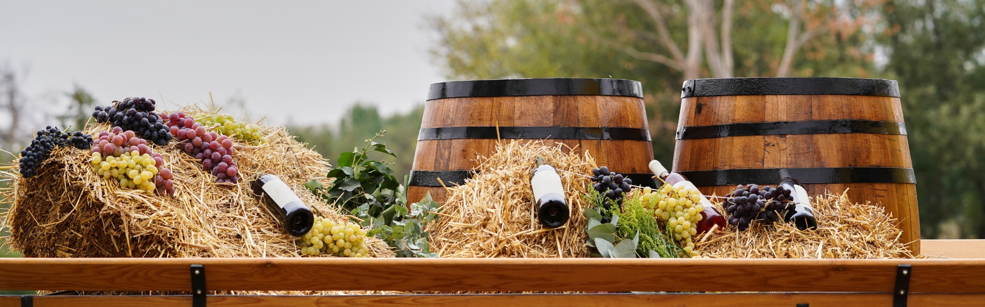 How wine is made - Step by step | Dis&Dis Wine Store - Dis&Dis