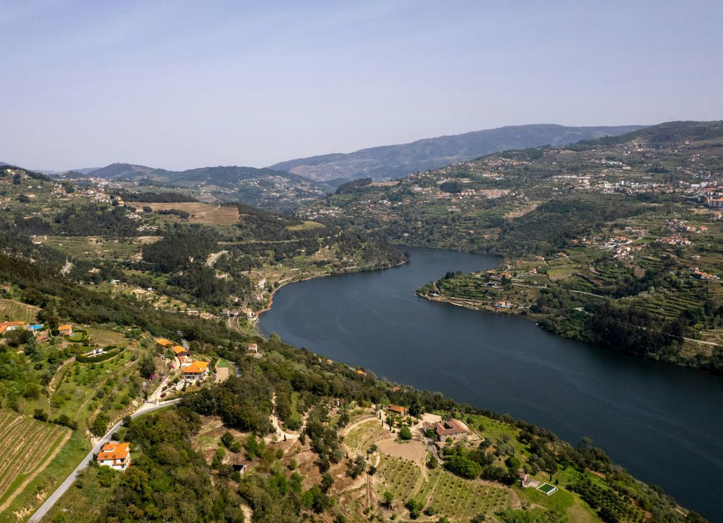 Douro Valley Wine: Beyond Port, Into Portugal's Greatest Dry Reds
