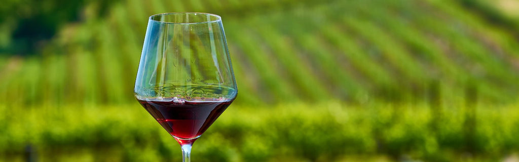 Discovering the Health Benefits of Wine: A Deep Dive into Its Positive Effects
