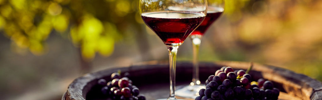Red Wines Revelations: Exploring the Best Varieties