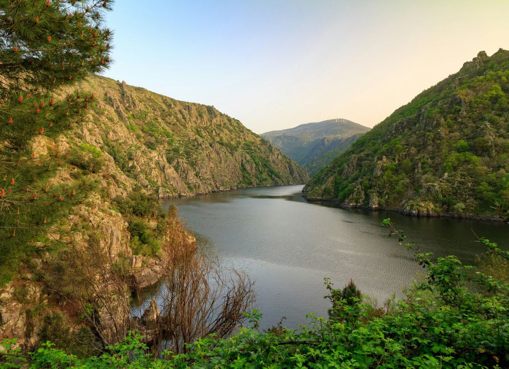 Ribeira Sacra: Spain's Most Dramatic Wine Region