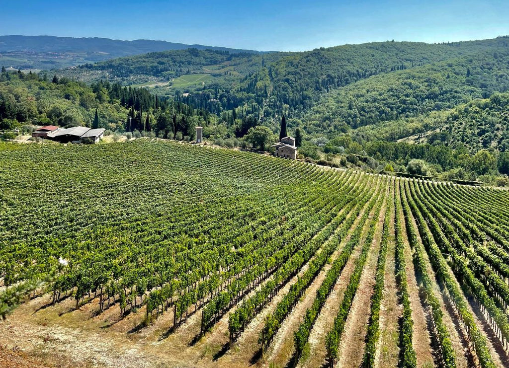 Tuscan Wine: The Honest Guide to Chianti, Vino Nobile and Everything In Between