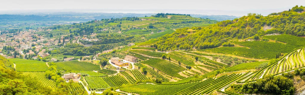 Exploring Valpolicella Wine – the Unique Italian Region