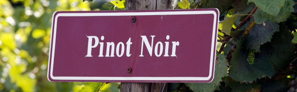 Where is Pinot Noir Grown?