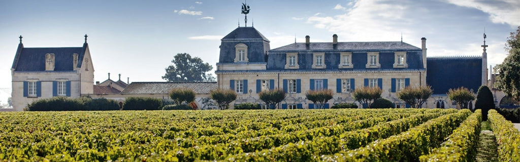 Explore the World's Top Wine Regions