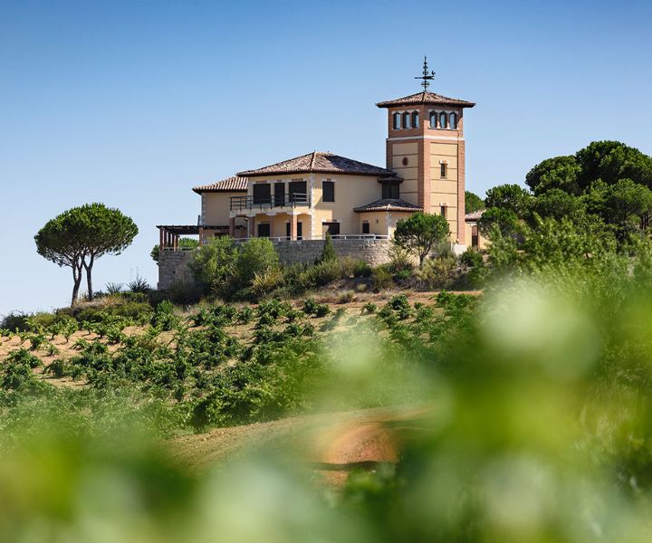 Piedra Natural Organic 2020 Red Wine