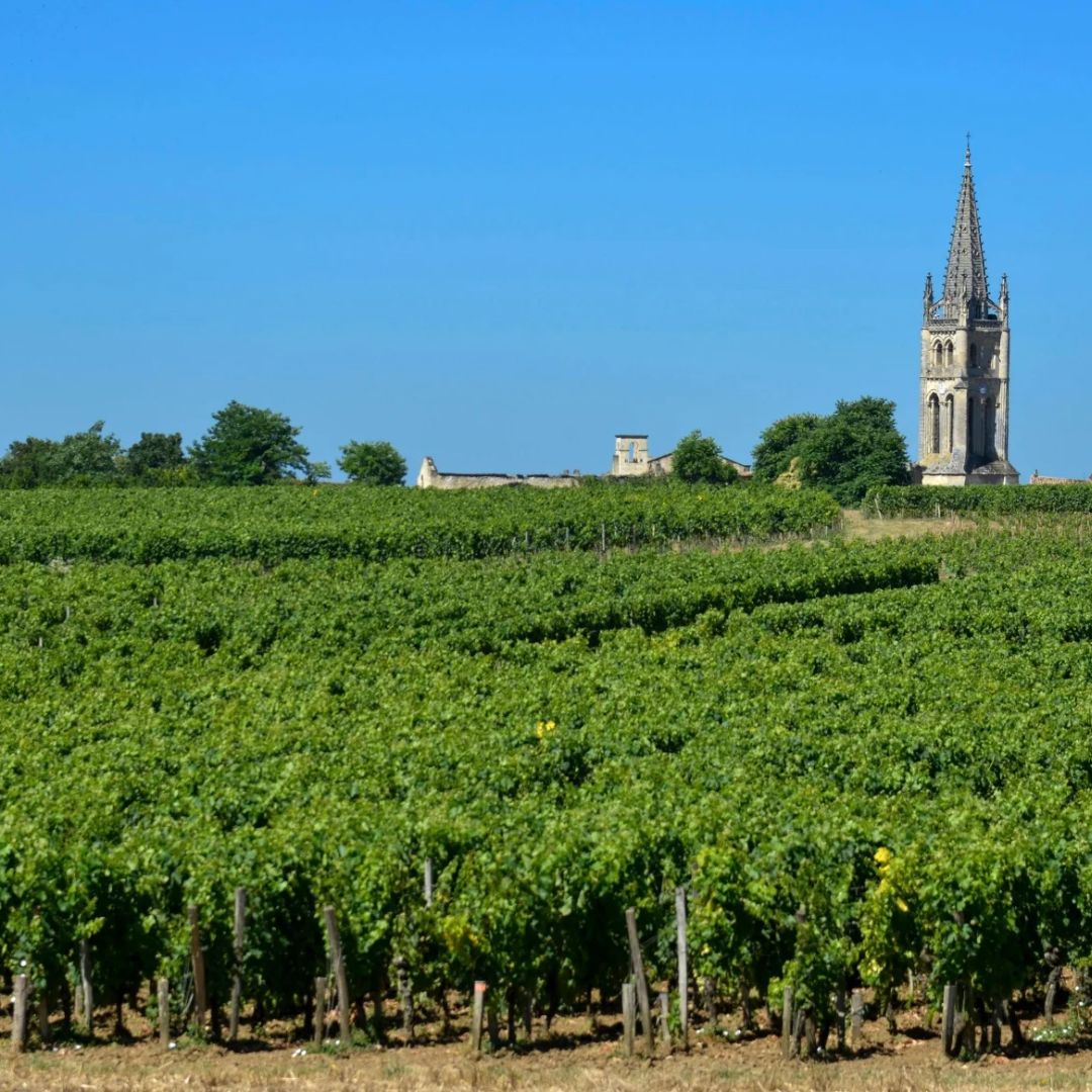 Chateau la Guillotiere Clauzel 2019 Red Wine
