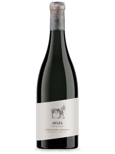 Cuesta del Herrero 2020 Red Wine