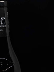 Nude Tintilla Barbadillo 2020 Red Wine
