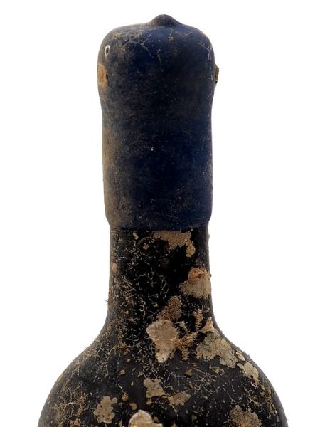 Detail blue wine cap wine aged underwater