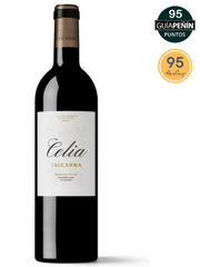 Vizcarra Celia 2016 Red Wine