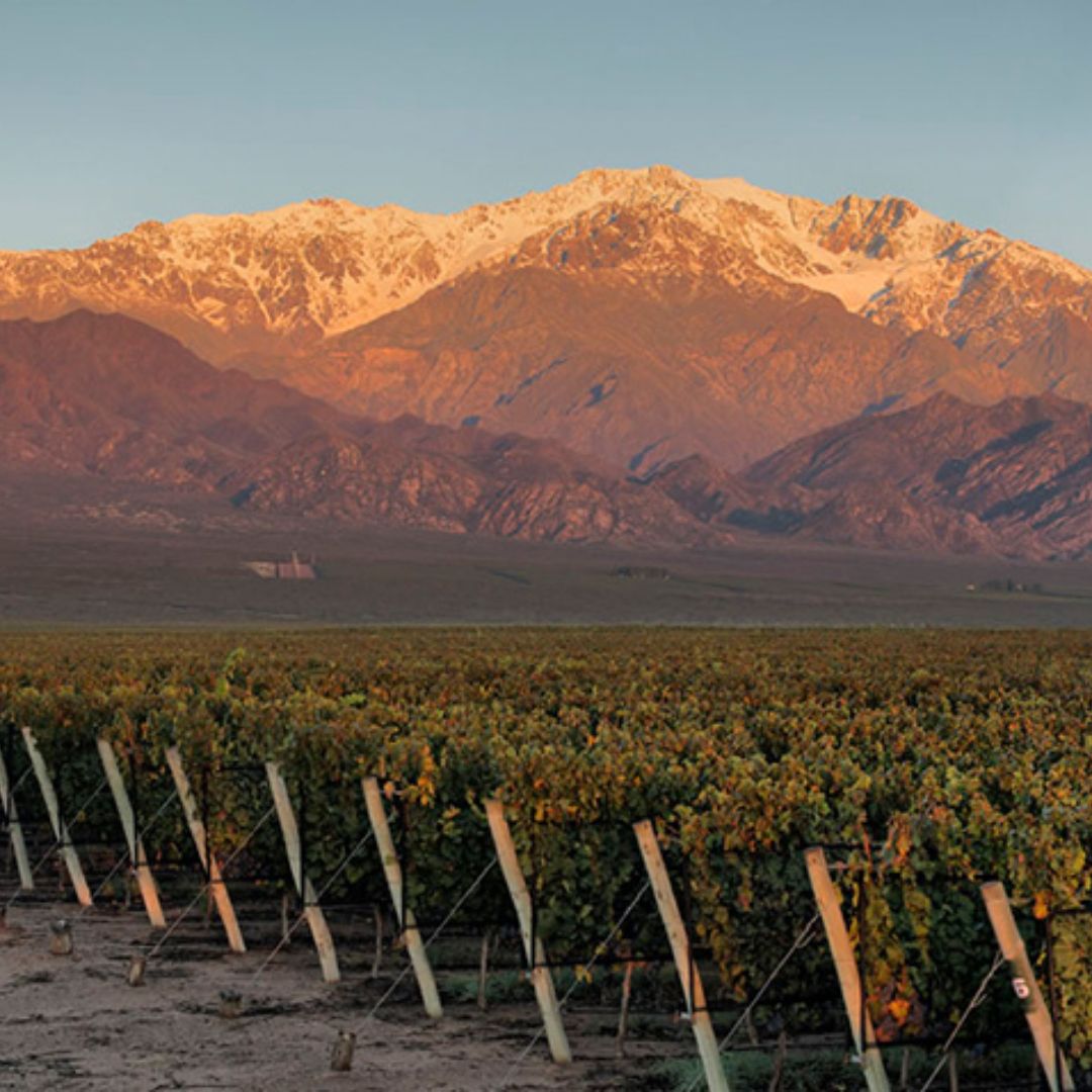 Los Cardos Cabernet Sauvignon 2018 Red Wine