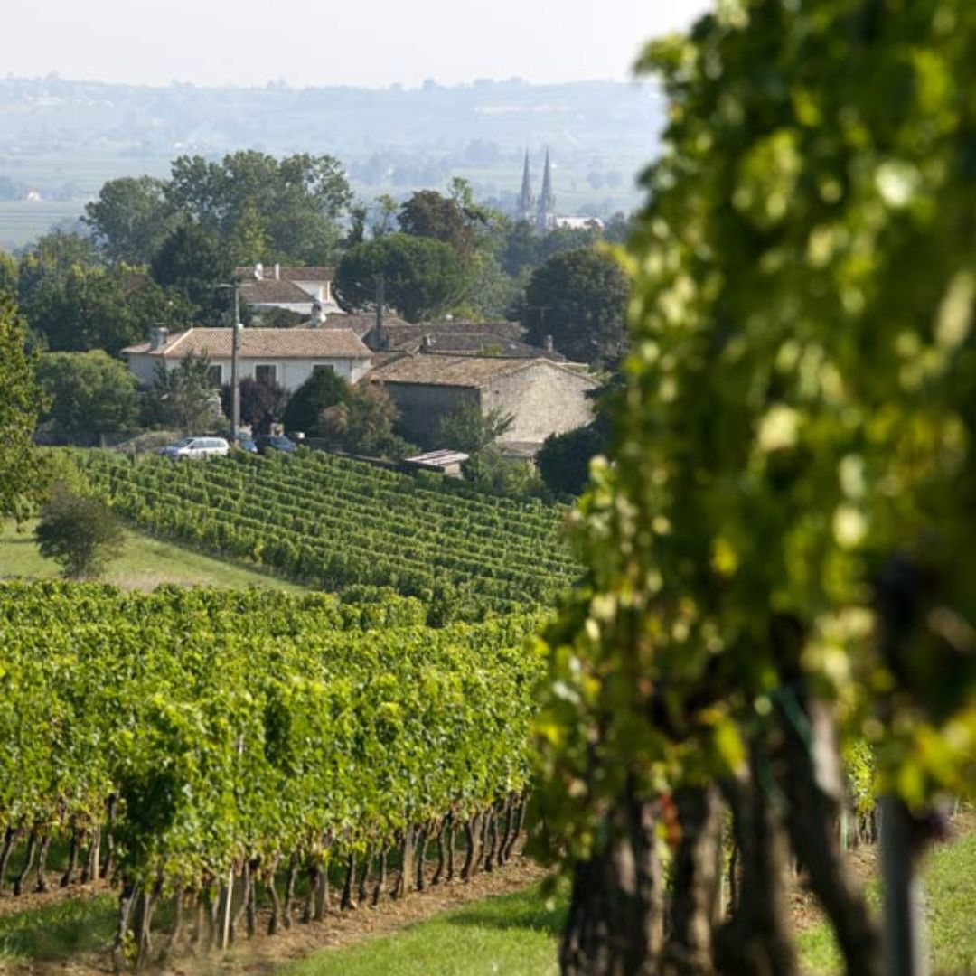 Claouset Zéro Degré Non Alcoholic Red Wine