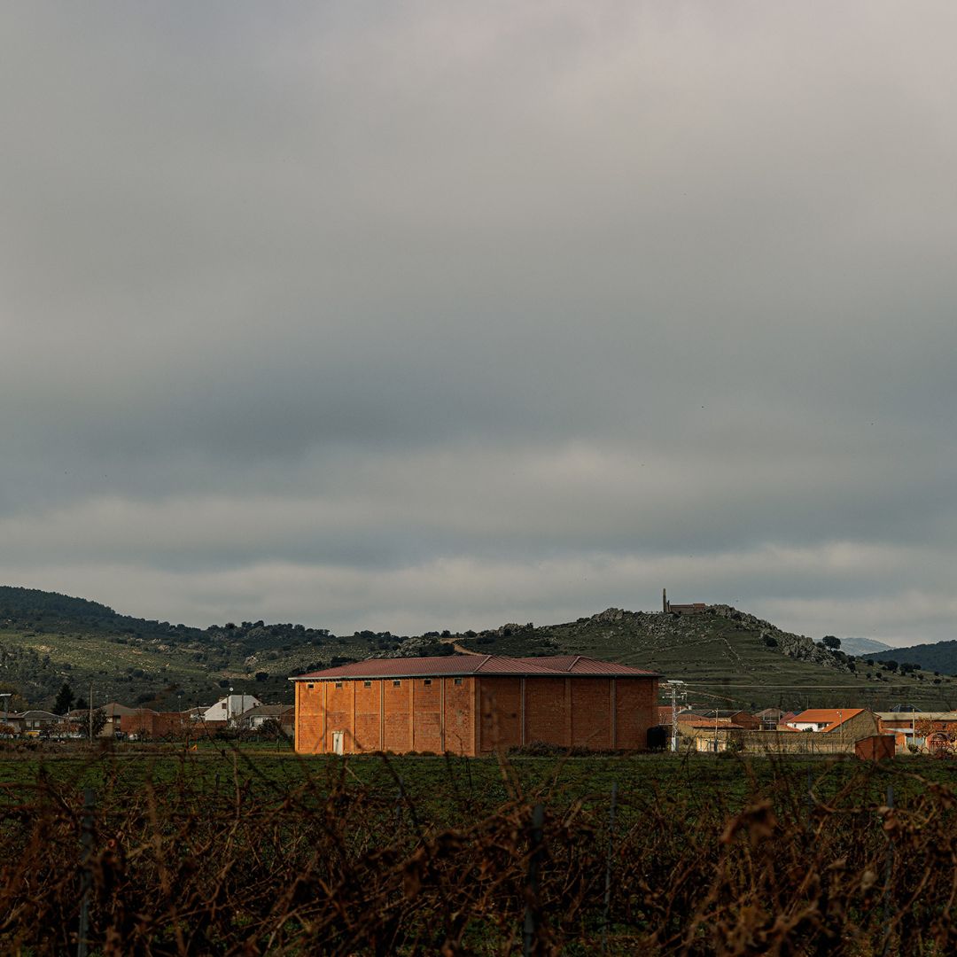 Alboca Roble 2018 Red Wine